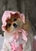 Pet photography a