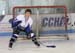 sport team aa