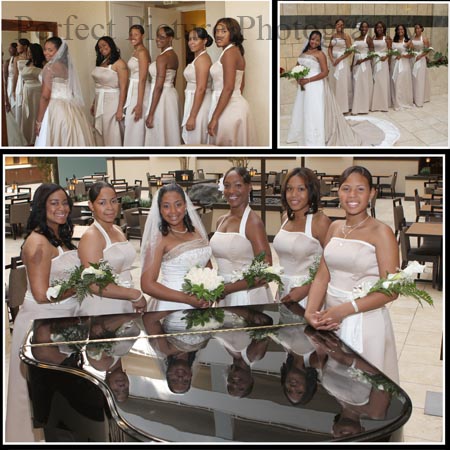 wedding photographer zd